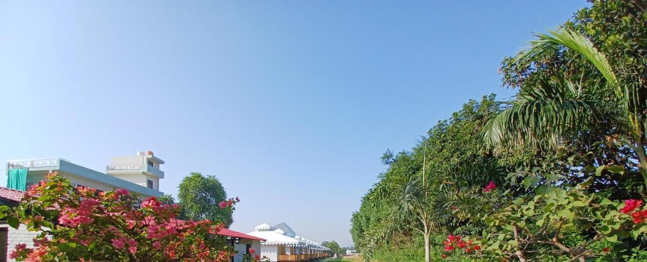 哈维利绿色酒店 布什格尔 外观 照片